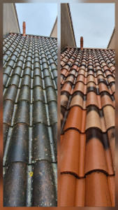 Photo de galerie - Couverture - Toiture