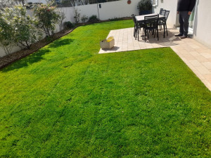 Photo de galerie - Tonte de pelouse - Débroussaillage