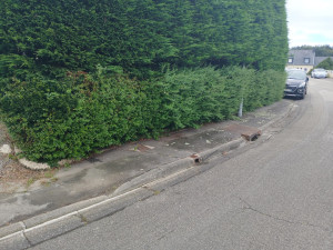 Photo de galerie - Jardinier