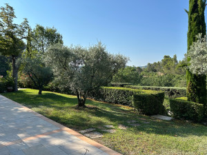 Photo de galerie - Entretien jardin 