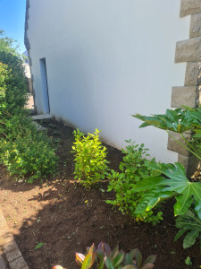 Photo de galerie - Désherbage de massif afin d'y mettre plus en valeur le jardin 