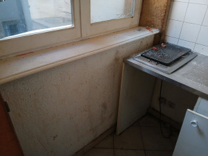 Photo de galerie - Nettoyage  d'ours de Grèce  