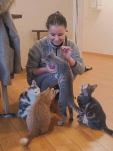Photo de galerie - Visite à Domicile pour chat/chien/NACS