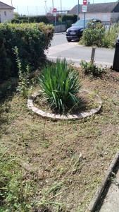 Photo de galerie - Jardinier