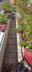Photo de galerie - Nettoyage de balcon et entretien du petit jardin 
