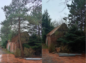 Photo de galerie - Abattage d'un arbre au dessus d'une toiture