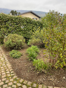 Photo de galerie - Ici, entretien d’un massif pris par les mauvaises herbes + taille et nettoyage. 