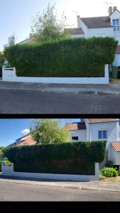 Photo de galerie - Petit rafraîchissement !