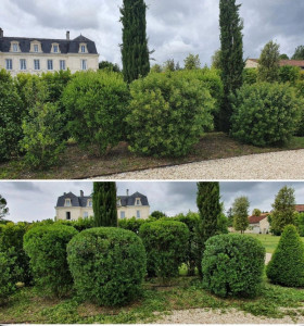Photo de galerie - Travaux réaliser en mai dernier 