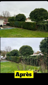 Photo de galerie - EPM vous proposes un entretien pour vos espaces verts et aménagements extérieurs 