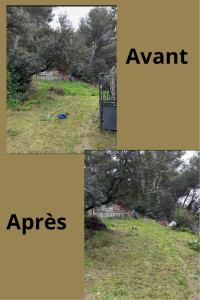 Photo de galerie - Tonte de pelouse - Débroussaillage