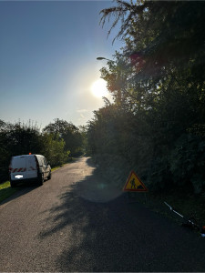 Photo de galerie - Taille-haies sur perche