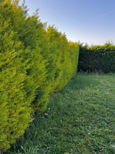 Photo de galerie - Avant 