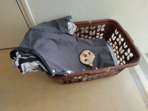 Photo de galerie - Bac avec chemise de travail