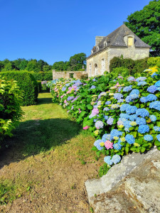 Photo de galerie - Entretien de jardin