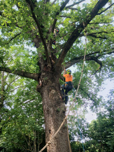 Photo de galerie - Ascention