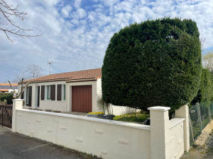 Photo de galerie - élagage haie + arbuste avec formes + plus nettoyage murette 