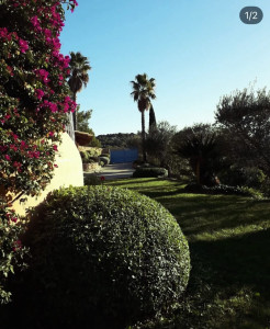 Photo de galerie - Aujourd’hui, c’était :  ✅ Taille des haies ✅ Nettoyage des massifs ✅ Désherbage ✅ Tonte et finitions  Chaque détail compte pour garder un jardin en bonne santé et agréable à vivre toute l’année