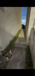 Photo de galerie - Tonte de pelouse - Débroussaillage