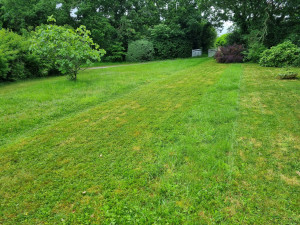 Photo de galerie - Jardinier