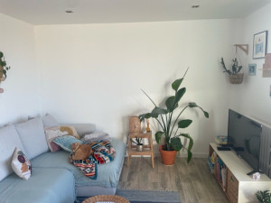 Photo de galerie - Plâtrerie - Murs - Plafonds