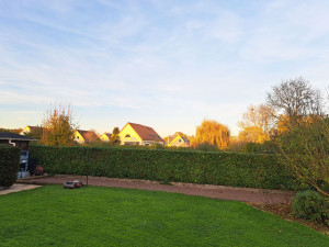 Photo de galerie - Taille d'une haie de Photinia