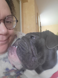 Photo de galerie - J adore les chiens