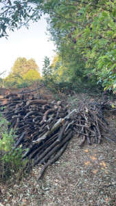 Photo de galerie - Paysagiste - Aménagement du jardin