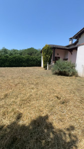 Photo de galerie - Débroussaillage 1500 m2