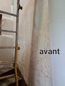 Photo de galerie - Renovation mur