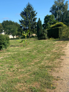 Photo de galerie - Chantier en cours taille de haie, tonte, débroussaillage 