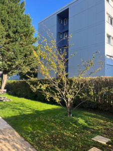 Photo de galerie - Jardinier
