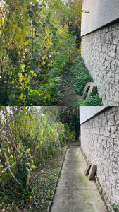 Photo de galerie - Débroussaillage 