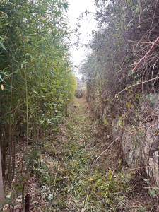 Photo de galerie - Nettoyage fossé