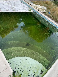 Photo de galerie - Remise en état d'une piscine 