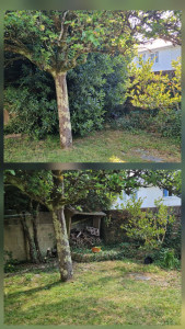 Photo de galerie - Accès a l abri bois retrouvé 