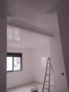 Photo de galerie - Rénovation appartement peinture sur les murs