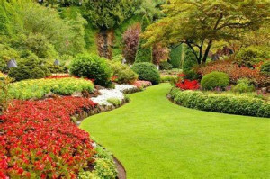 Photo de galerie - Jardinage 