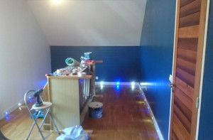 Photo de galerie - Réfection total da la pièces sauf parquet ,Enduit, peinture, lambris et installation de luminaire dans les plinthes