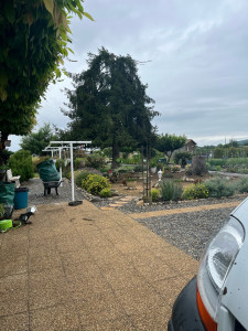 Photo de galerie - Elagage et coupe d'arbres