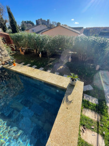 Photo de galerie - Taille des Laurier 