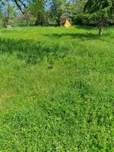 Photo de galerie - Avant 