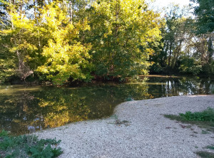 Photo de galerie - Elagage et coupe d'arbres