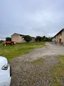 Photo de galerie - Tonte de jardin 