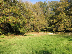Photo de galerie - Le terrain/jardin clôturé de 6000m2 de la maison