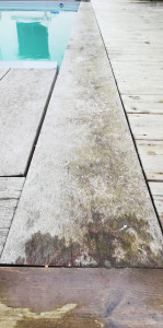 Photo de galerie - Préparation - nettoyage de salle