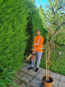 Photo de galerie - Cyprès