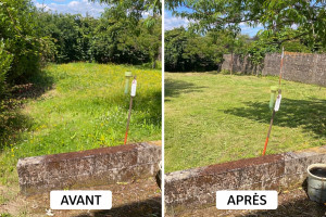 Photo de galerie - Tonte de pelouse - Débroussaillage