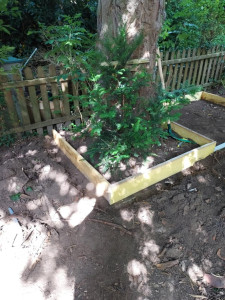 Photo de galerie - Paysagiste - Aménagement du jardin