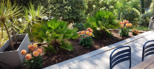 Photo de galerie - Paysagiste - Aménagement du jardin